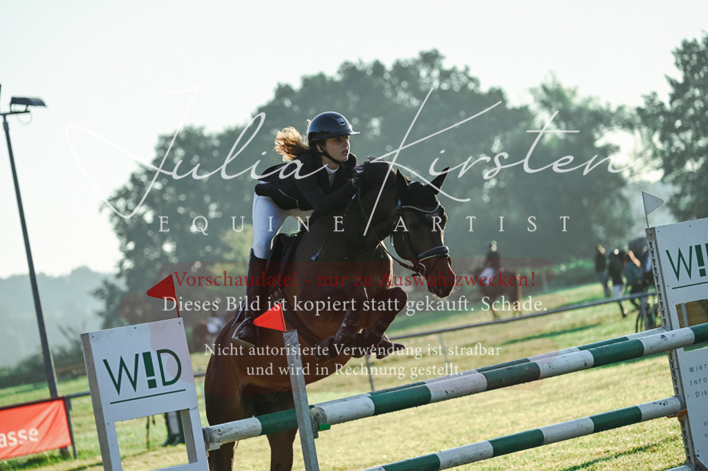 DSC_3728 | Pferde- und Turnierfotografie in Westsachsen. Pferdeportraits, Auftragszeichnungen und intuitive Kunst.