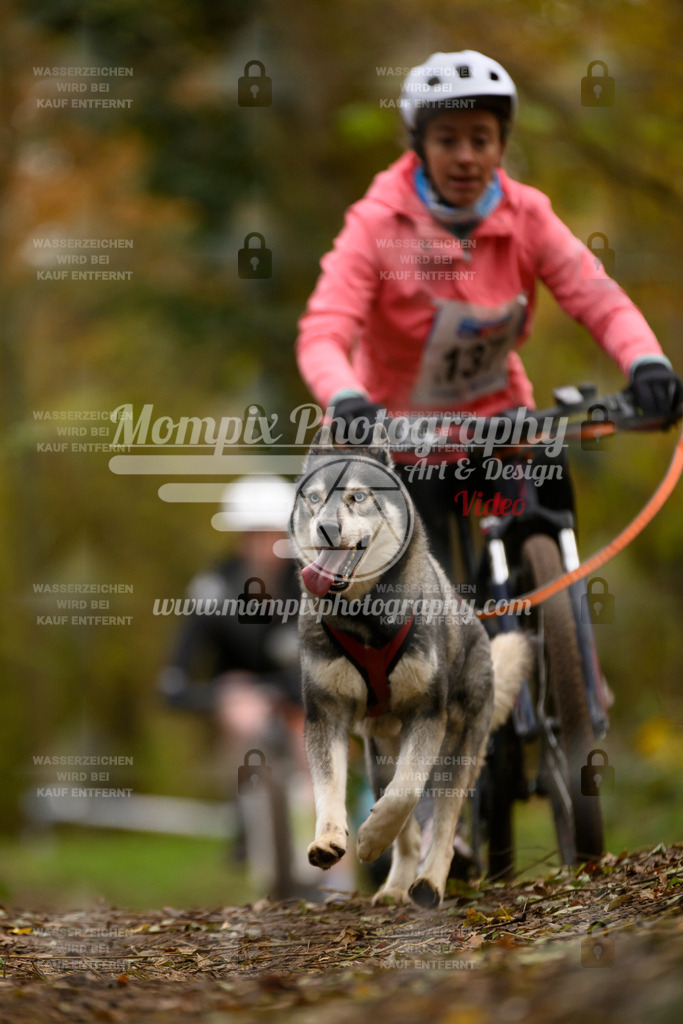 MompixPhotography_Bischwiller24_SA_VTT-78 | PayLife