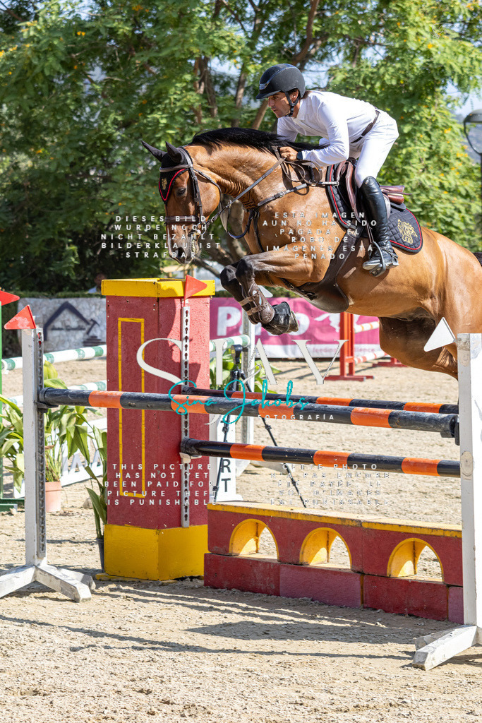 IMG_4154 | s-jay-photography - Realisiert mit Pictrs.com