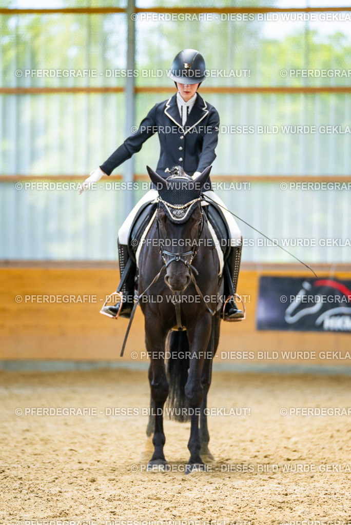 DSC09404 | Pferdegrafie