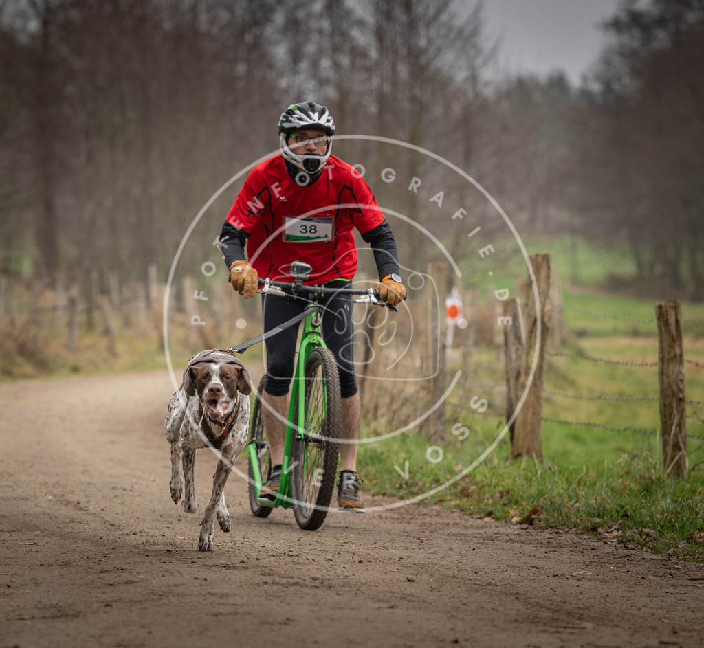 Pfotenfotografie_DV3A2534 | Hundefotografie, Tierfotograf, Pfotenfotografie, Fotoshooting Hund, Hunde Portrait, Hundesport, Hundeportraits, Heideshooting, Hunde, Sportfotograf, Hundefotograf, Turnierhundsport, THS,  - Realisiert mit Pictrs.com