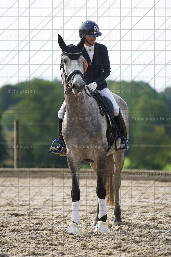 20230826-FAH04583 | Forstinning, 2023, Dressurturnier, Turniersportbilder, Turnierfotografen Bayern, Fotoagentur Herrmann, Reitsportfotografie, Turnierbilder