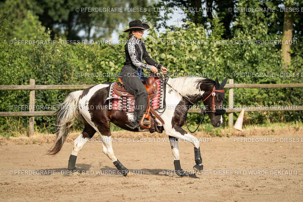 DSC05558 | Pferdegrafie