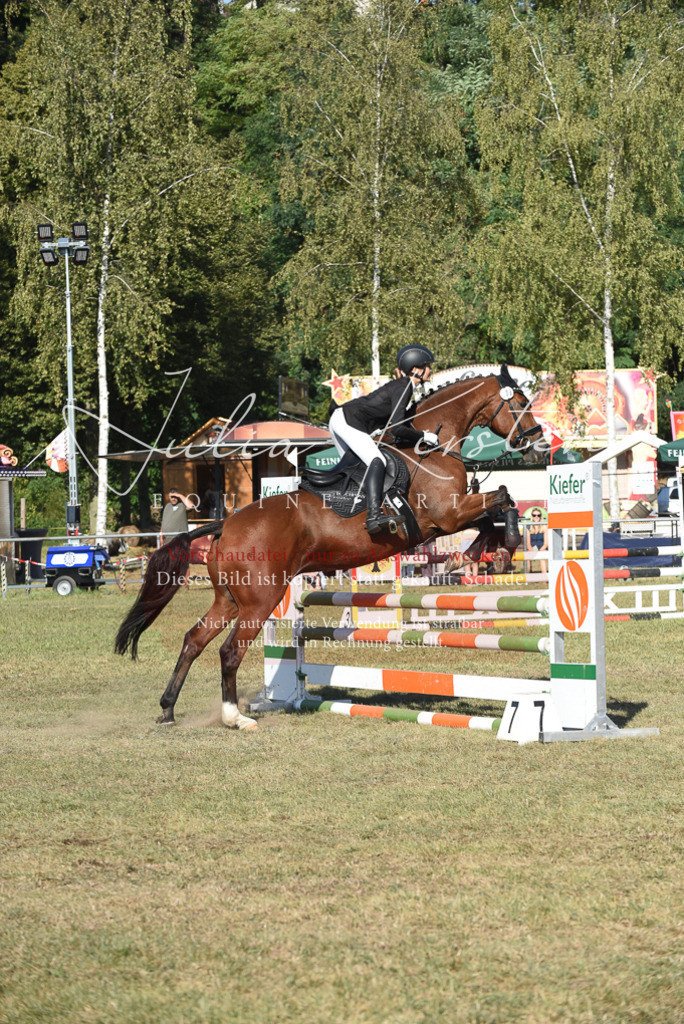 DSC_5297 | Pferde- und Turnierfotografie in Westsachsen. Pferdeportraits, Auftragszeichnungen und intuitive Kunst.