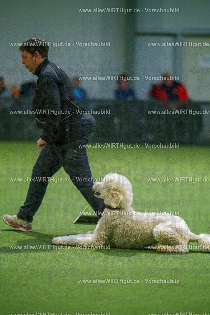 7R509921 | Professionelle Tierfotografie in Mönchengladbach von Daniel Wirth (allesWIRTHgut). Liebevolle & natürliche Bilder von Hunden & Katzen für unvergessliche Erinnerungen.