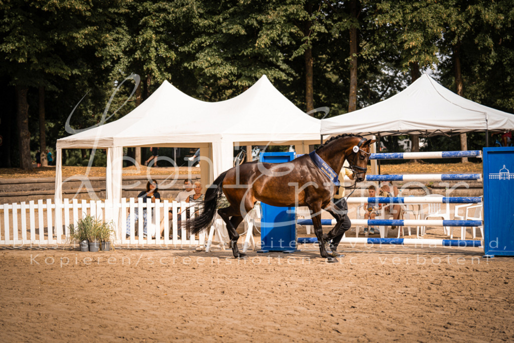 FrER00229 | Leoni Ertmer Photography - Realisiert mit Pictrs.com