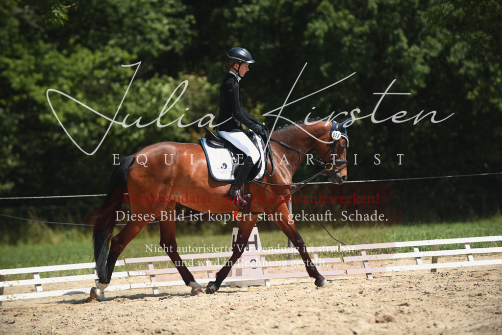 DSC_2262 | Pferde- und Turnierfotografie in Westsachsen. Pferdeportraits, Auftragszeichnungen und intuitive Kunst.