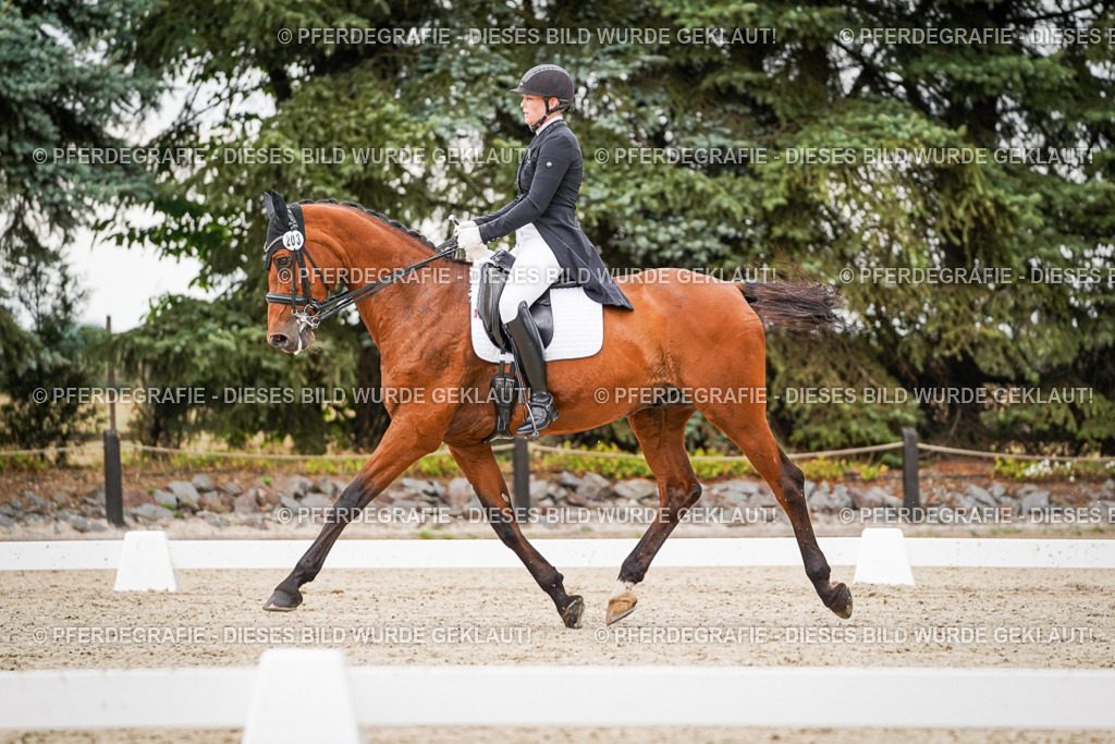 DSC07505 | Pferdegrafie