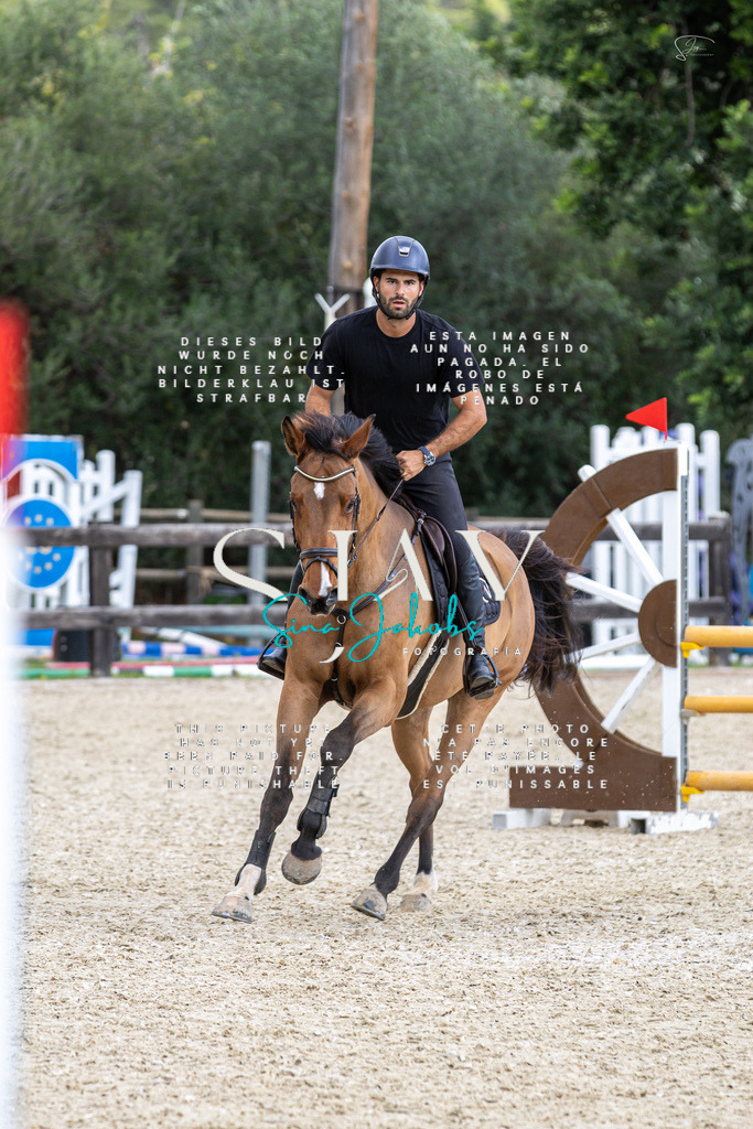 IMG_2829 | s-jay-photography - Realisiert mit Pictrs.com