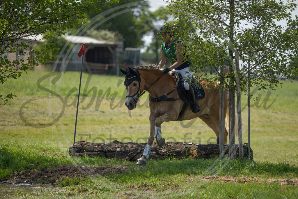 994A1292 | sabrinanicolaifotografie - Realisiert mit Pictrs.com