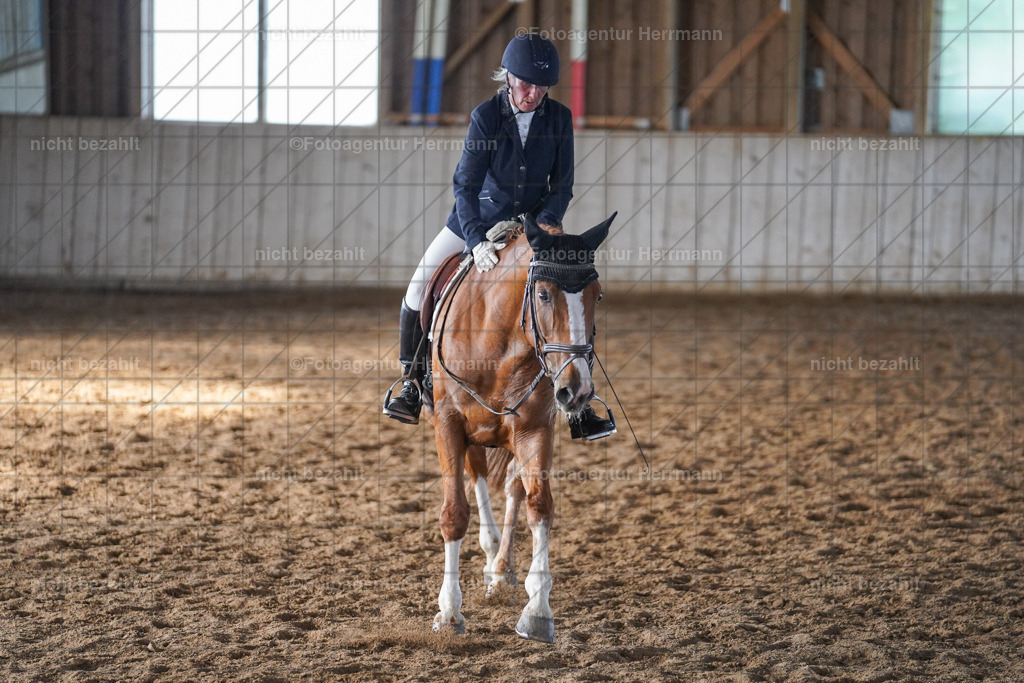 20230917-FAH09938 | Landsberg am Lech, 2023, Kaufbeuren, Kempten, Allgäu, Turnierfotografen Bayern, Fotoagentur Herrmann, Turnierbilder, Reitsport Fotos, Pferdefotograf, Augsburg, Bad Tölz, Dachau, Karlsfeld, Memmingen, Buchloe, Schwabmünchen