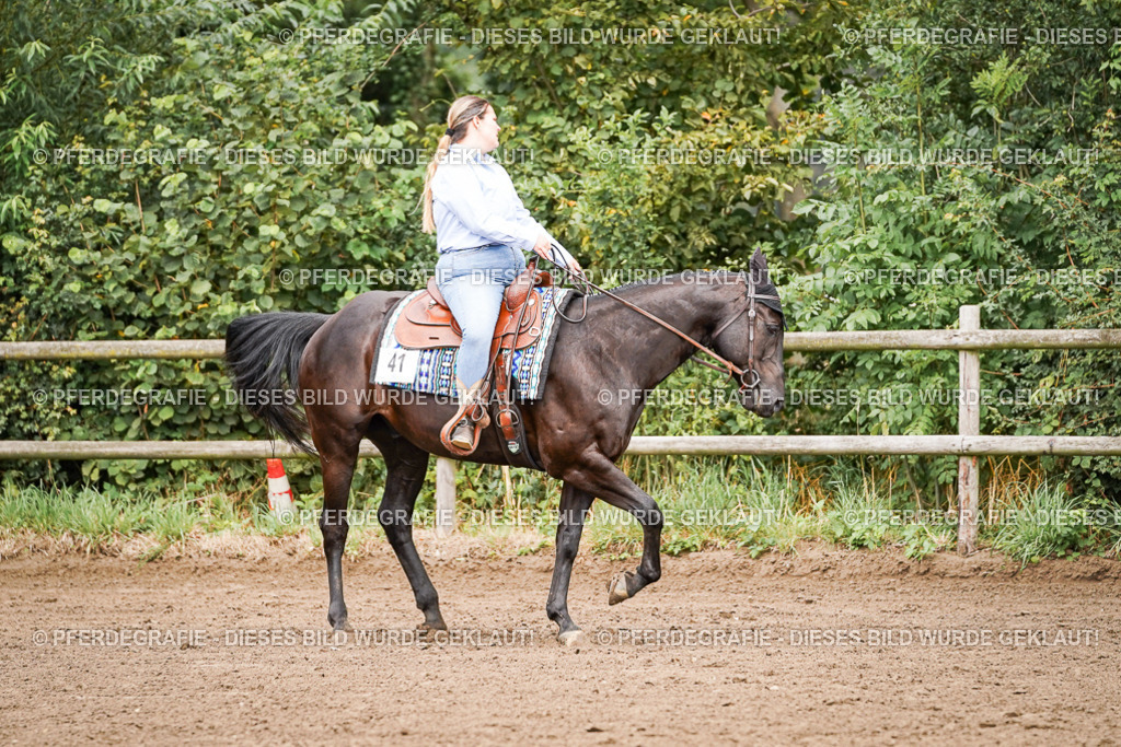 DSC06444 | Pferdegrafie