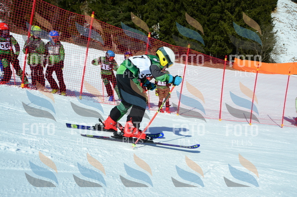 C5309 | holidayphoto