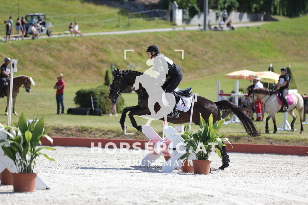 0P6A3094 | Willkommen bei Brunnmayr - Design & Fotografie – Ihrem Spezialisten für Reitturniere und Pferdeveranstaltungen in Oberösterreich, Salzburg und Bayern! Seit über 17 Jahren sind wir leidenschaftlich dabei.