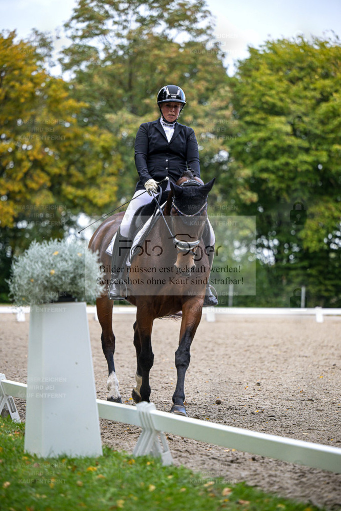FOTO OGER | Entdecke hochwertige Reitturnierfotos von Foto Oger. Professionell, emotional und authentisch – jetzt Lieblingsmomente im Shop bestellen. - Realisiert mit Pictrs.com