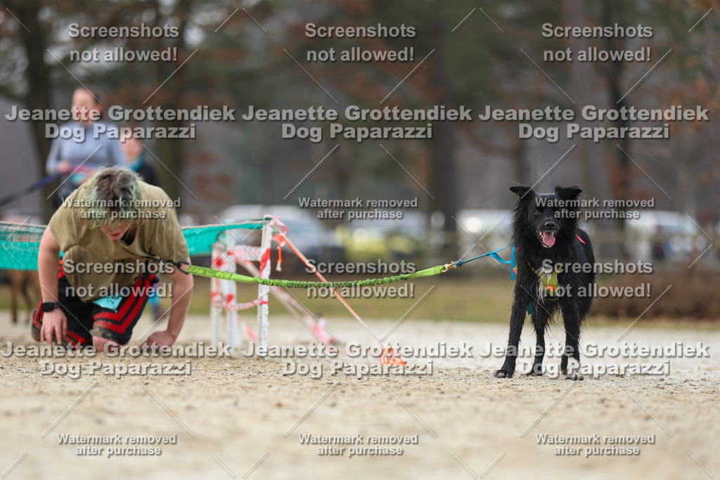 Dog Paparazzi - Strongdog North Mrz26-4519 | Dog Paparazzi Jeanette Grottendiek Fotografie & Videografie - Realisiert mit Pictrs.com