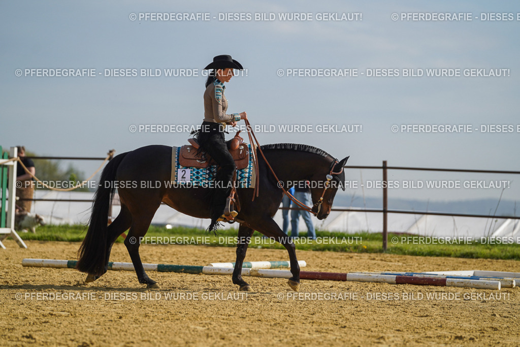 DSC01321 | Pferdegrafie