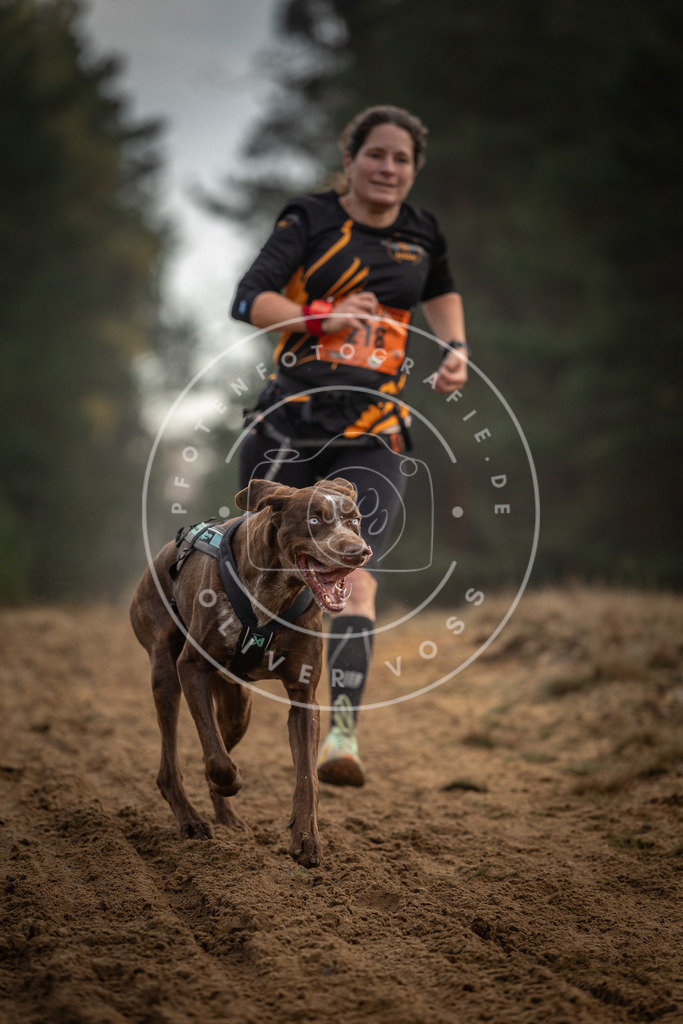 Pfotenfotografie_DV3A5333 | Hundefotografie, Tierfotograf, Pfotenfotografie, Fotoshooting Hund, Hunde Portrait, Hundesport, Hundeportraits, Heideshooting, Hunde, Sportfotograf, Hundefotograf, Turnierhundsport, THS,  - Realisiert mit Pictrs.com
