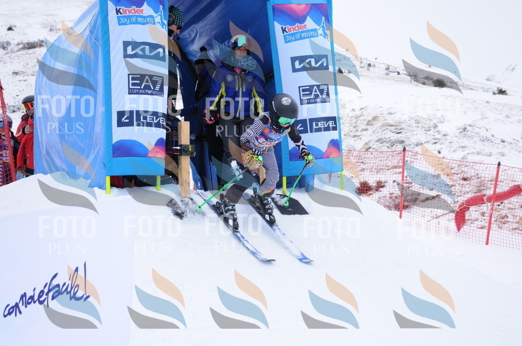 DSC_8369 | holidayphoto