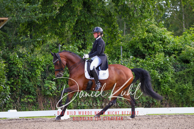 DKP41629 | Turnierfotos kaufen im Webshop von Daniel Kuhl Photography – entdecke professionelle Reitsportfotos aus Turnieren & Events. Hochwertige Turnierbilder online bestellen & sichern. Jetzt Fotos von Reitsportturnieren kaufen!