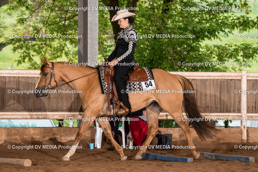 Erbach Tag 3-299 | dv-media-shop - Realisiert mit Pictrs.com