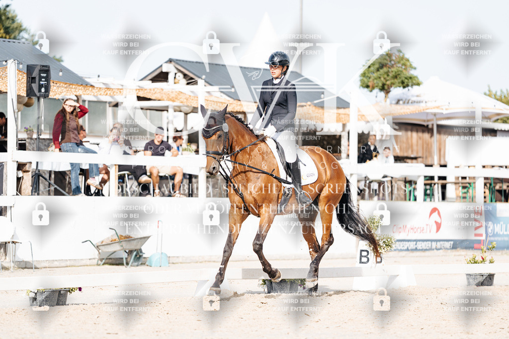 CK904948 | Turnierfotografie Pferdefotografie Trier Rheinland-Pfalz Pferdesport Reitsport Tierfotografie Sportfotografie Pferdevideo Pferdevideografie Equestrianvideography equestrianphotography  - Realisiert mit Pictrs.com