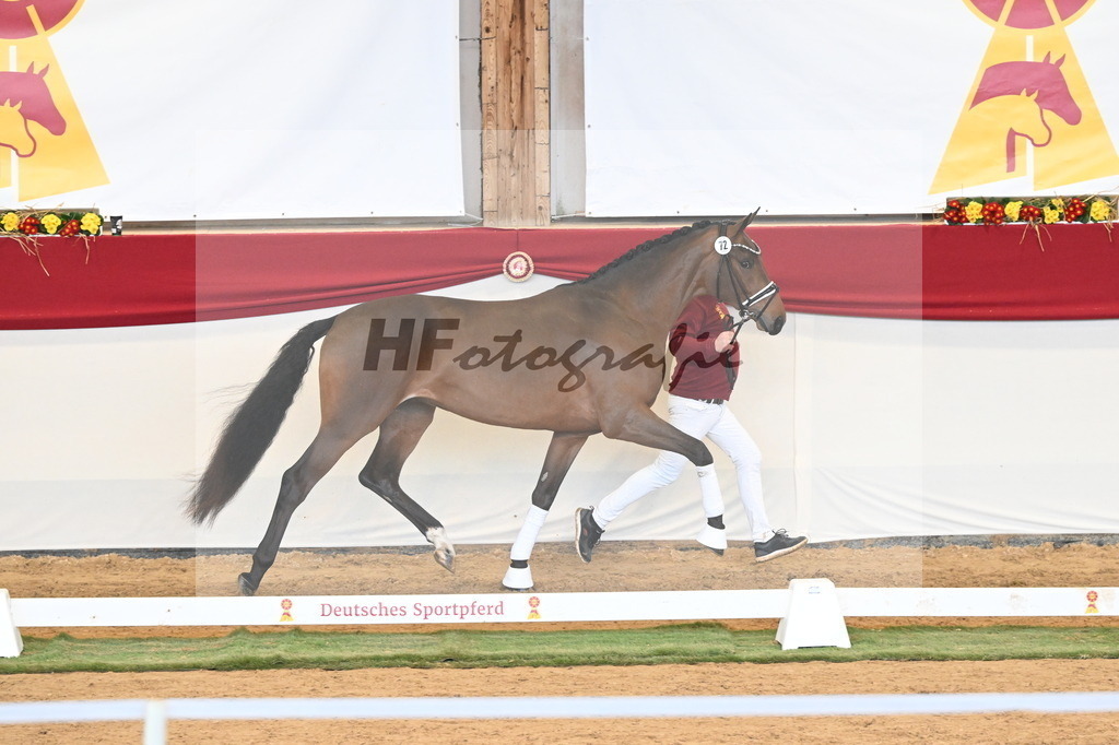 Kat.-Nr. 72 v. Red Viper_Reesink_3260903 | hf-fotografie - Realizzato con Pictrs.com