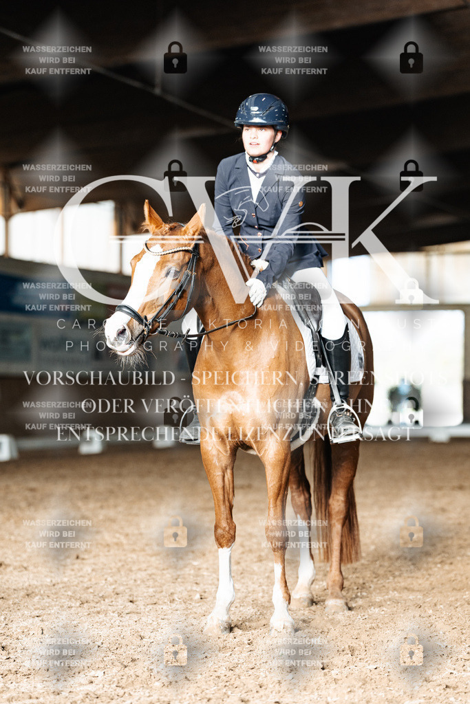 CK903046 | Turnierfotografie Pferdefotografie Trier Rheinland-Pfalz Pferdesport Reitsport Tierfotografie Sportfotografie Pferdevideo Pferdevideografie Equestrianvideography equestrianphotography  - Realisiert mit Pictrs.com