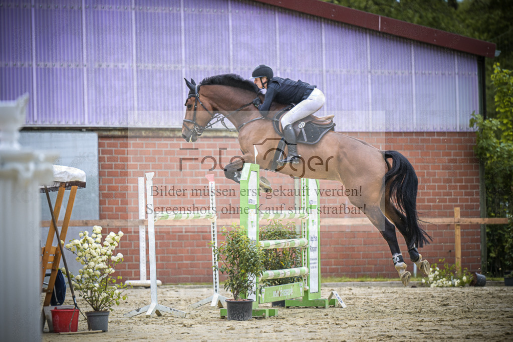 DOS_0279 | Entdecke hochwertige Reitturnierfotos von Foto Oger. Professionell, emotional und authentisch – jetzt Lieblingsmomente im Shop bestellen.Deutschlandweite Turnierfotografie. - Realisiert mit Pictrs.com