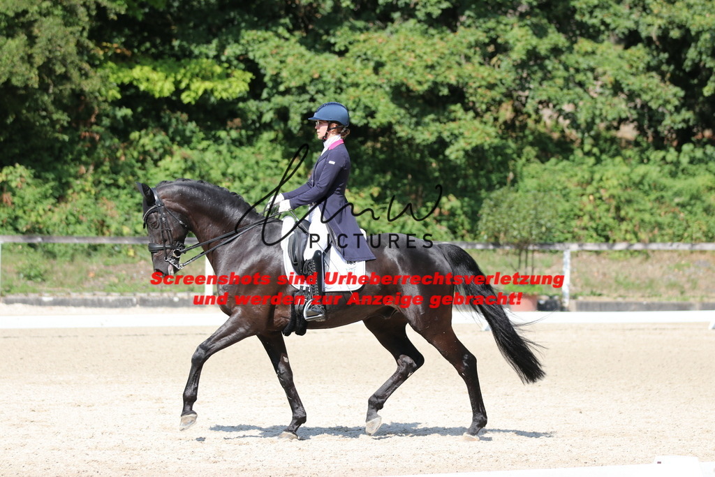 IMG_9442 | lmwpictures - Realisiert mit Pictrs.com