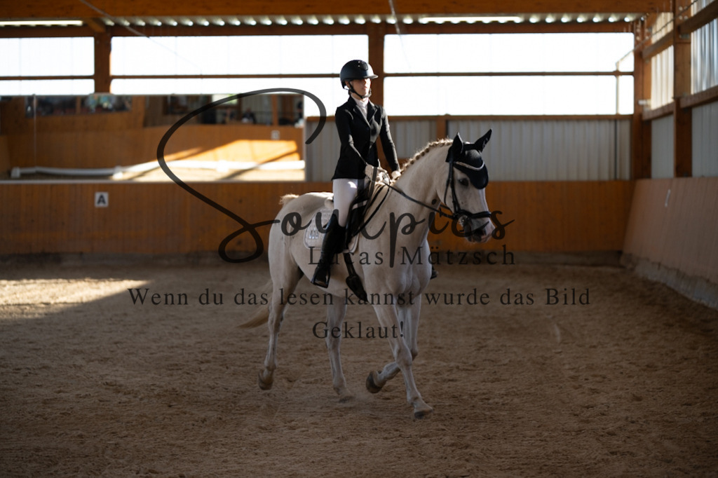 A7V01653 | Turnier/Reitfotograf