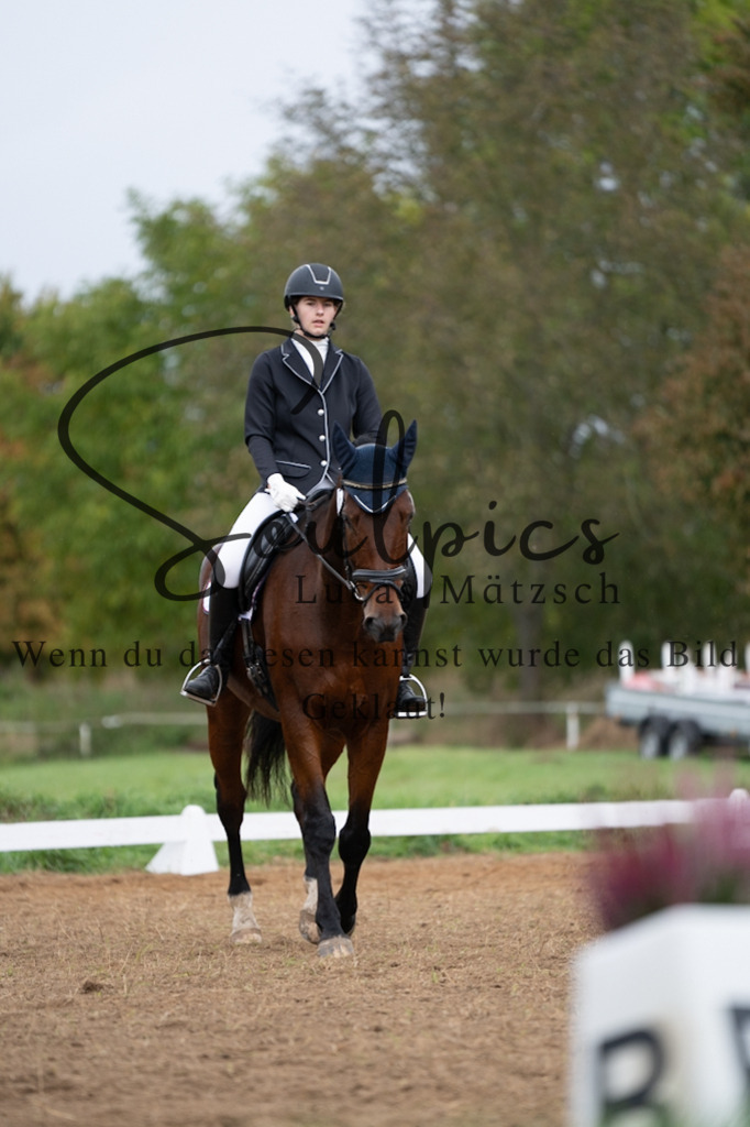 A7V05640 | Pferdefotograf