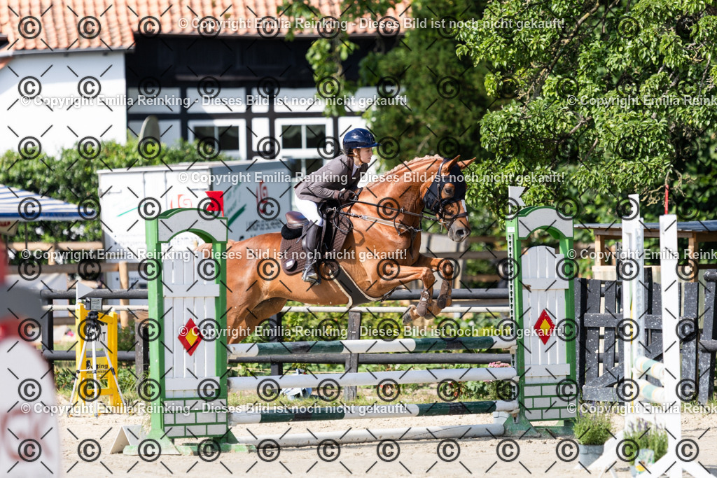 CL5A6484 | Emilia Reinking Fotografie - Realisiert mit Pictrs.com