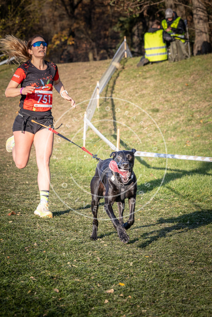 CaniXpix_0L8A9860 | Hundefotografie, Tierfotograf, Pfotenfotografie, Fotoshooting Hund, Hunde Portrait, Hundesport, Hundeportraits, Heideshooting, Hunde, Sportfotograf, Hundefotograf, Turnierhundsport, THS,  - Realisiert mit Pictrs.com