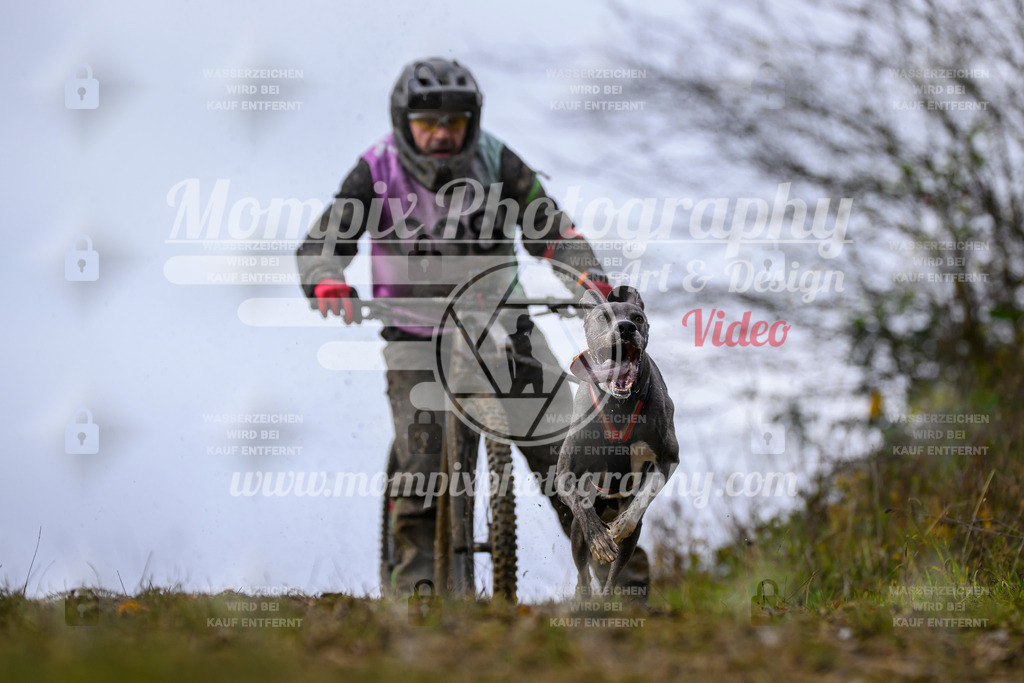 MompixPhotography_2OATB_SO_Scooter-34 | PayLife