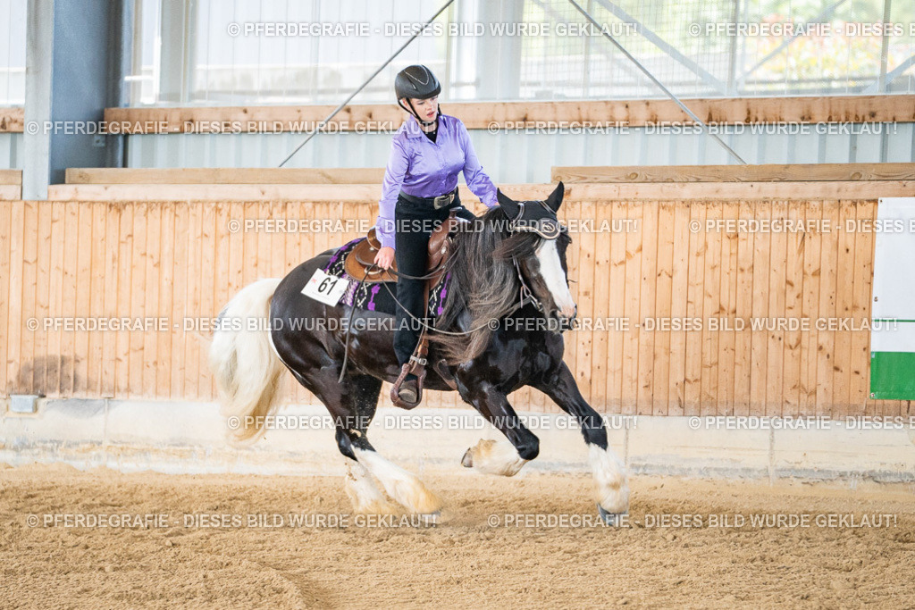 DSC03231 | Pferdegrafie