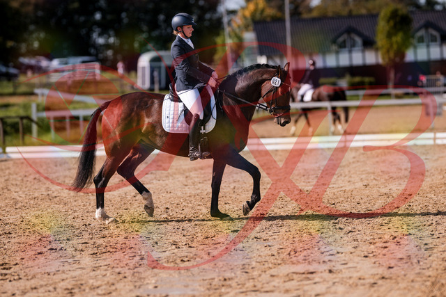 2026_10_03_Siefer-Hof_125750_Z81_46836824 | Professionelle Reitsport-, Turnier- und Eventfotografie von Robert Broda. Galerien mit ausgewählten und bearbeiteten Bildern direkt online ansehen und bestellen.