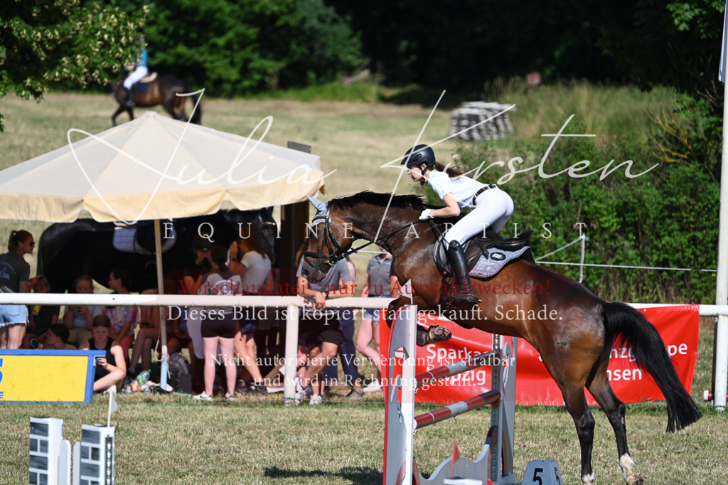 DSC_2056 | Pferde- und Turnierfotografie in Westsachsen. Pferdeportraits, Auftragszeichnungen und intuitive Kunst.