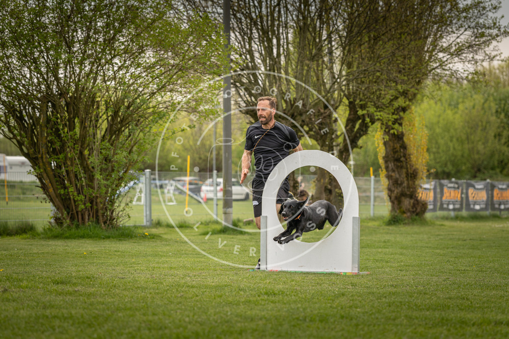 Pfotenfotografie_DV3A6912 | Hundefotografie, Tierfotograf, Pfotenfotografie, Fotoshooting Hund, Hunde Portrait, Hundesport, Hundeportraits, Heideshooting, Hunde, Sportfotograf, Hundefotograf, Turnierhundsport, THS,  - Realisiert mit Pictrs.com