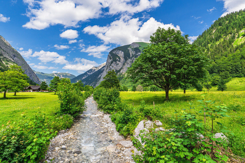 Der Große Ahornboden im Rißtal bei der Eng Alm in Österreich | Der Große Ahornboden im Rißtal bei der Eng Alm in Österreich.