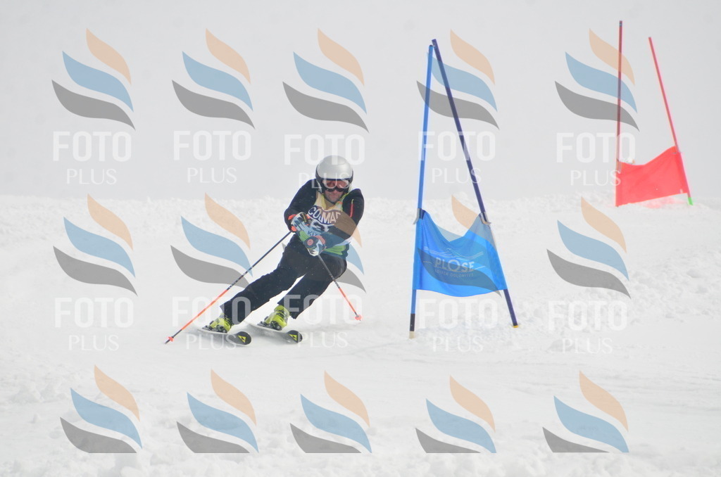 A6132 | holidayphoto