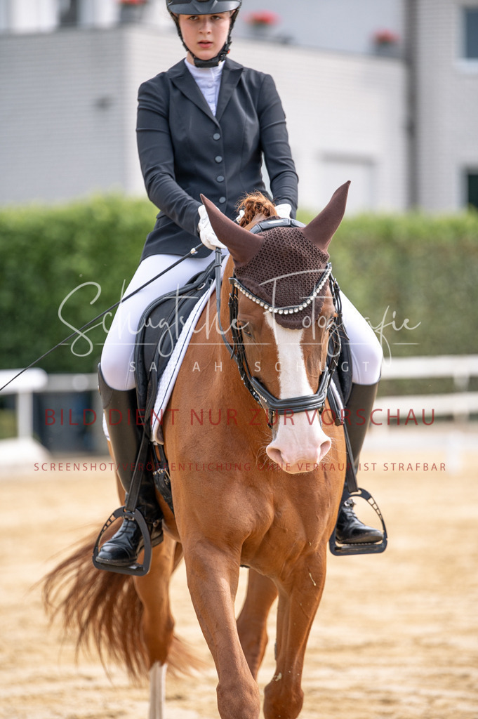 Schugtsche-Aluta25-40.DressurprfA_-208 | Schugtsche Fotografie - Realisiert mit Pictrs.com