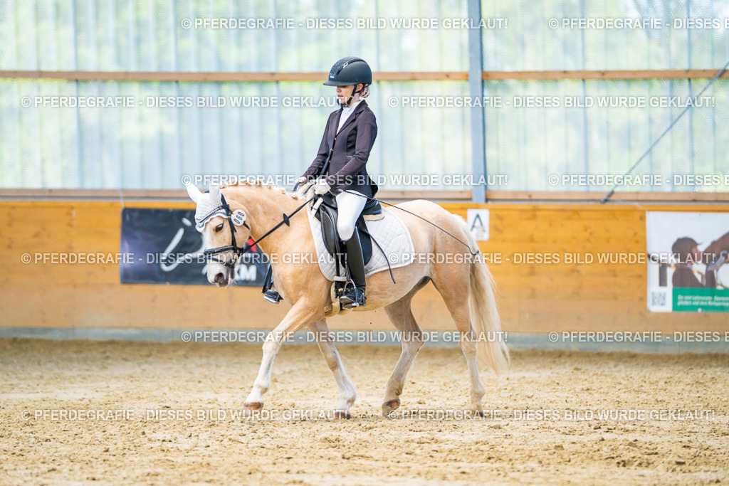 DSC07172 | Pferdegrafie