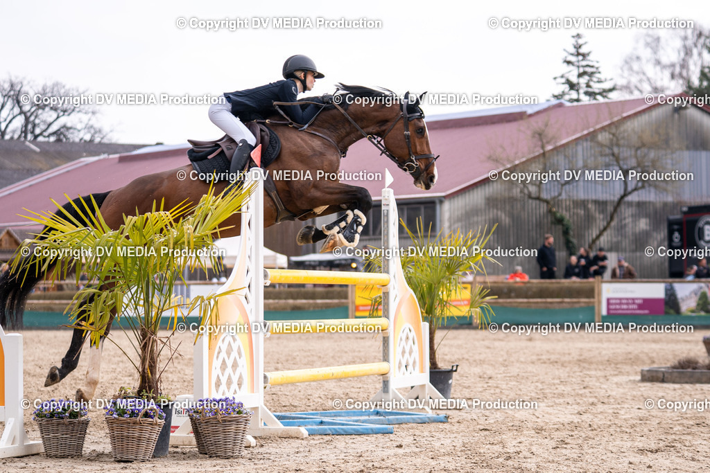 Kranichstein Tag 2-1760 | dv-media-shop - Realisiert mit Pictrs.com