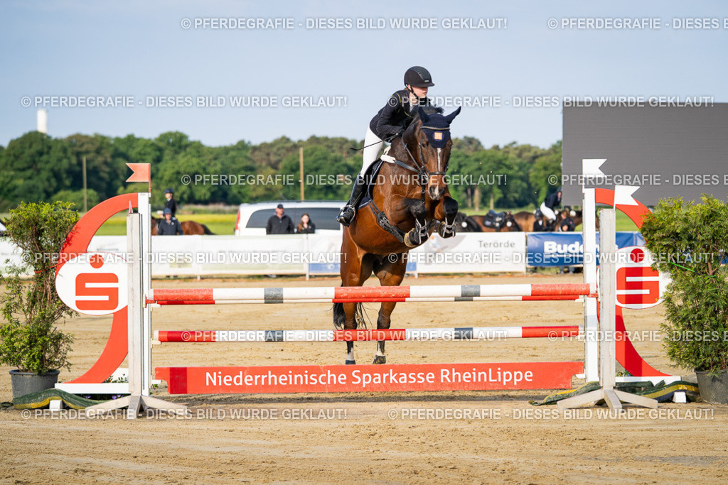 DSC02302 | Pferdegrafie