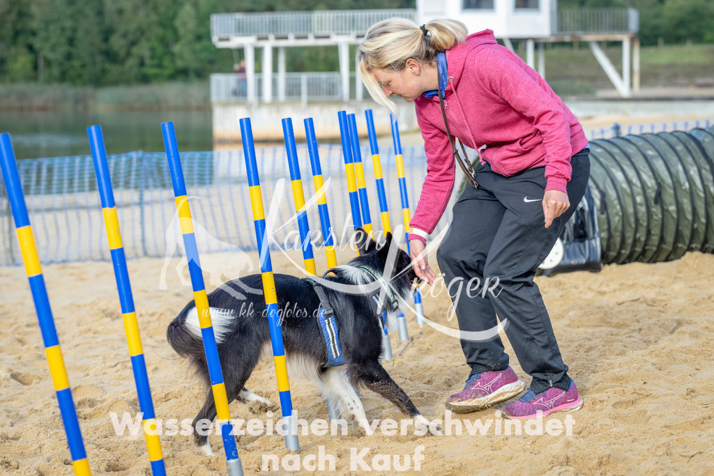 0940_ZZ92643 | kk-dogfotos