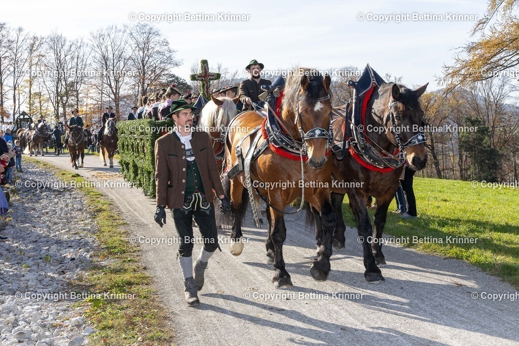 LBT24-1388 | foto-bettina-krinner - Realisiert mit Pictrs.com