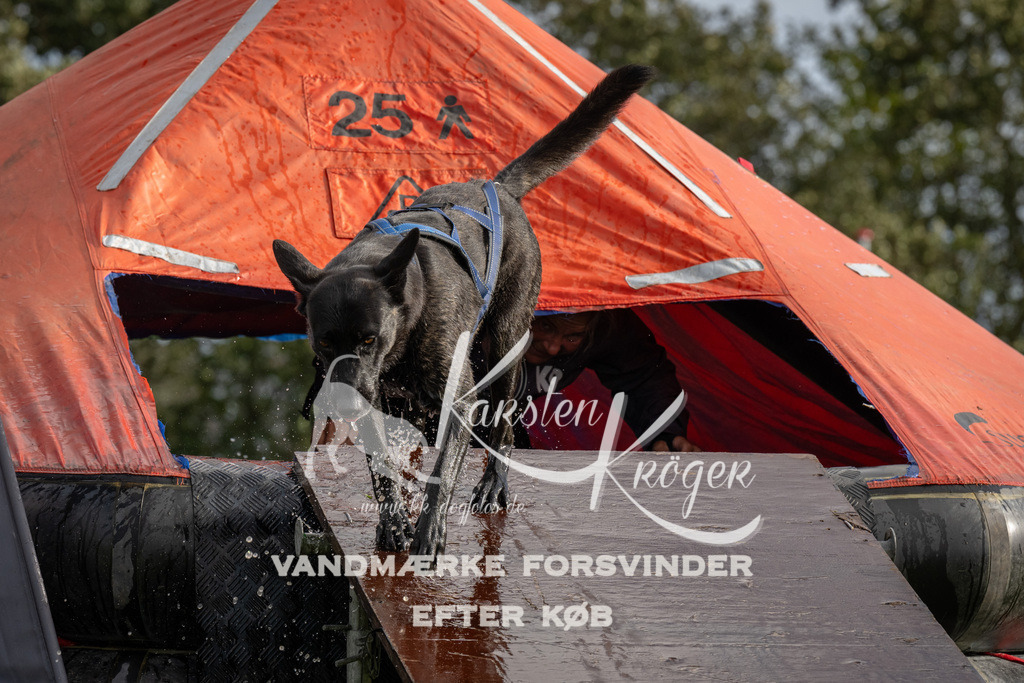 1418-93868 | kk-dogfotos