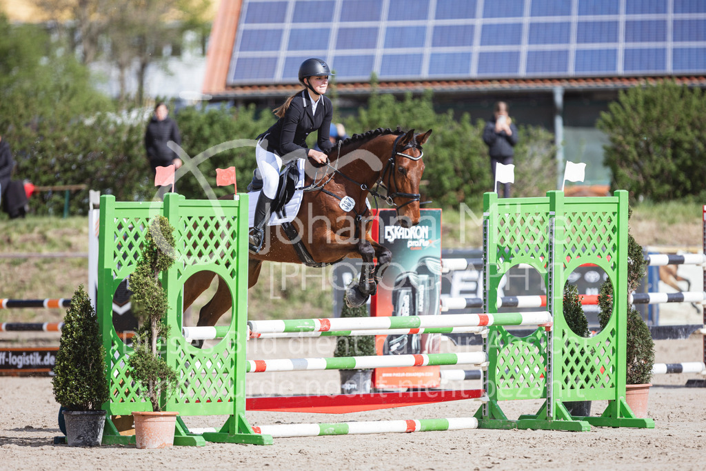 250419_Frühlingsfest_A-Stil1-442 | Deine schönsten Turniermomente als professionelle Fotos! Entdecke hochwertige Pferdesport-Fotografie im Online-Shop. Jetzt Fotos finden & bestellen!