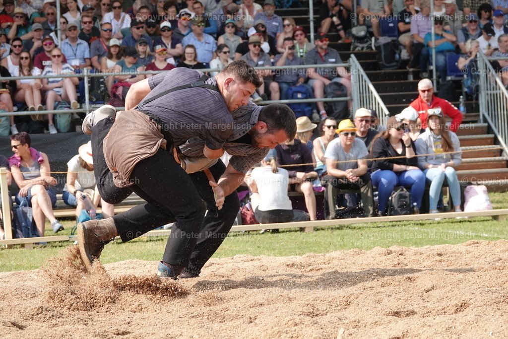 DSC04520 | Schwingen - Realisiert mit Pictrs.com